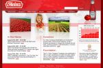 Heinz Site Design (finalist but not chosen)